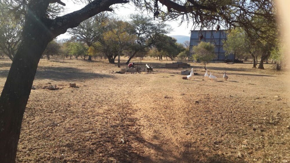 image3